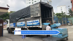 Giá xe tải chở hàng từ Gia lai đến TP Hồ Chí Minh (2)