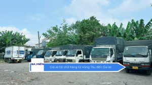Giá xe tải chở hàng từ Vũng Tàu đến Gia lai
