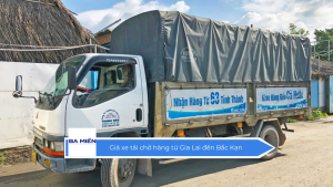 Giá xe tải chở hàng từ Gia Lai đến Bắc Kạn