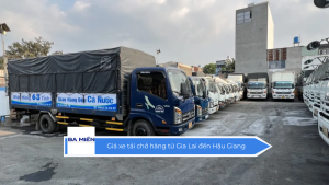 Giá xe tải chở hàng từ Gia Lai đến Hậu Giang