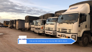 Giá xe tải chở hàng từ Gia lai đến Bình Định